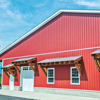 Best Steel Z100 Gecoat gegolfd dakplaat Metalen dakplaat Zink gegalvaniseerd staal spoel PPGI/GI voor robuuste constructie